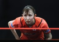 领先优势明显首场状态出色，篮网观众沸腾！，Ming重返赛场引发球迷热议的简单介绍